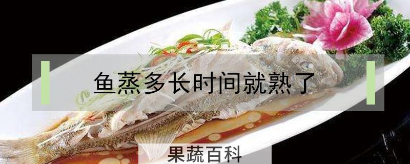 鱼蒸多长时间就熟了