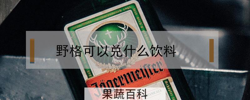 野格可以兑什么饮料