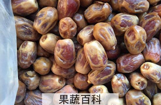 椰枣是枣吗 椰枣的功效与作用