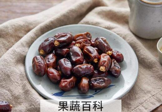 椰枣是枣吗 椰枣的功效与作用