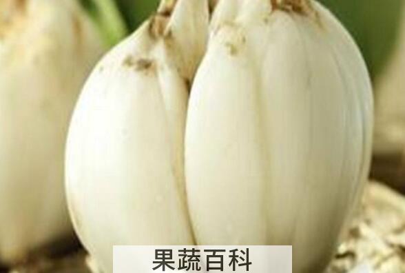 哪些人不适合吃百合 吃百合的禁忌