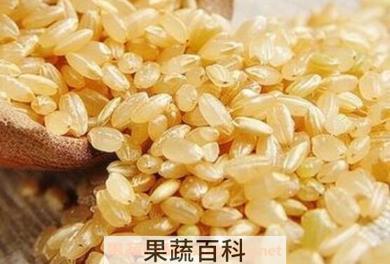 糙米怎么吃 糙米的吃法技巧