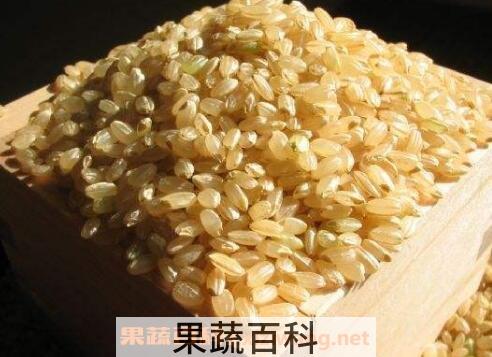 糙米怎么吃 糙米的吃法技巧