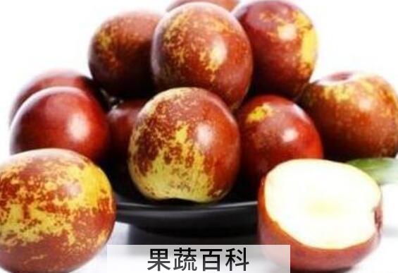 鲜枣的功效和食用禁忌