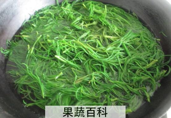 碱蓬菜的功效与作用 碱蓬菜的副作用