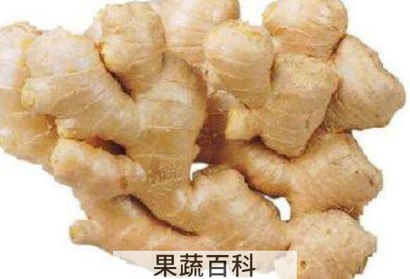 吃沙姜的好处