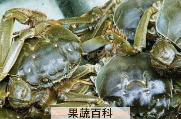 大闸蟹怎么保存 大闸蟹保鲜的方法技巧