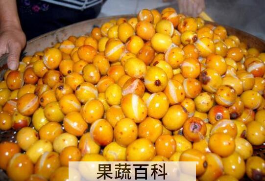 南酸枣果核的功效与作用