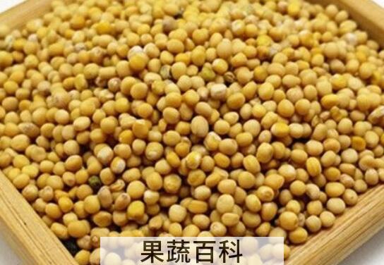 芥末籽和芥末的区别