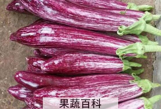  花茄子的功效与作用