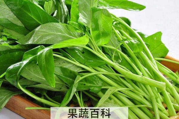 尿酸高是什么引起的 尿酸高吃什么食物好
