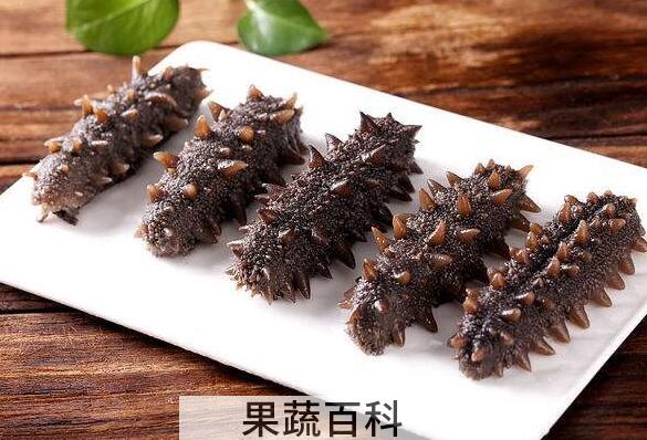 九类人群不适合吃海参 吃海参的禁忌