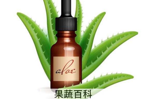 芦荟精油的功效与作用