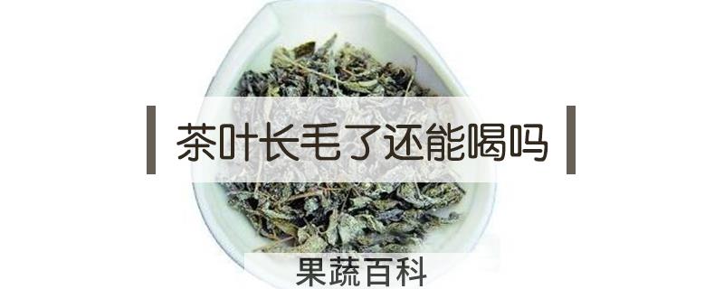 茶叶长毛了还能喝吗