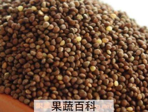 紫苏子粥的功效与作用