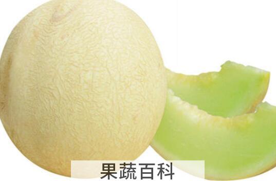 白兰瓜和哈密瓜的区别