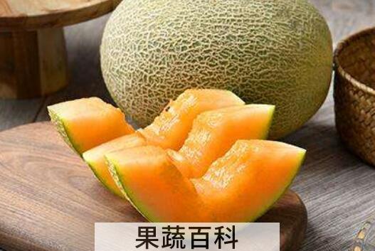白兰瓜和哈密瓜的区别