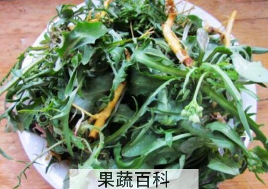 农村清热解毒的野菜有哪些
