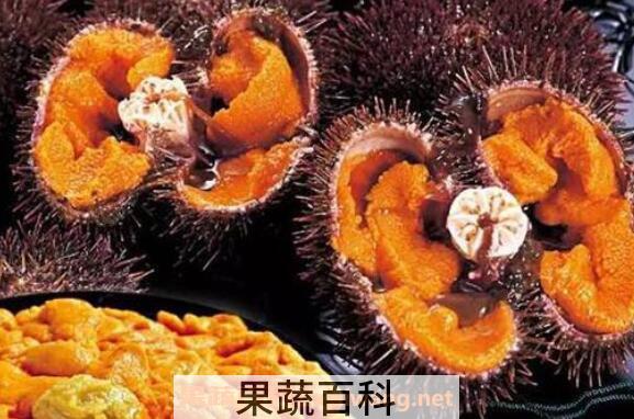 海胆黄是什么 海胆黄的功效与作用