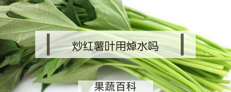 炒红薯叶用焯水吗