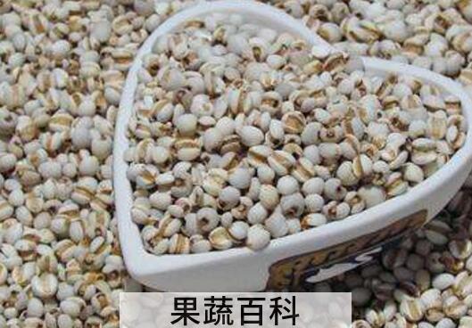 米仁怎么吃 米仁的功效与作用