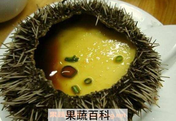 海胆怎么处理 海胆怎么打开