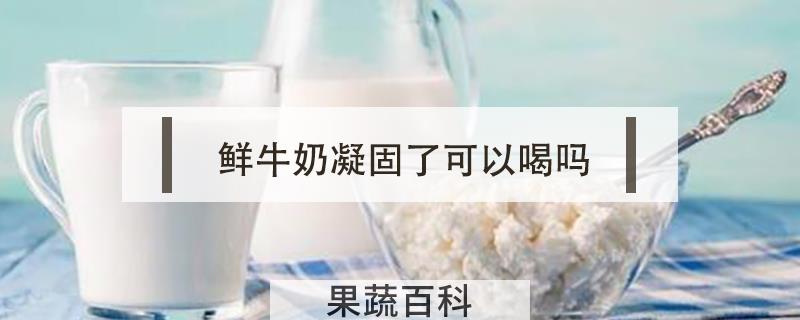 鲜牛奶凝固了可以喝吗