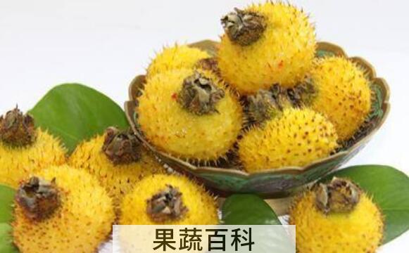 刺苹果可不可以吃 刺苹果泡酒能治什么病