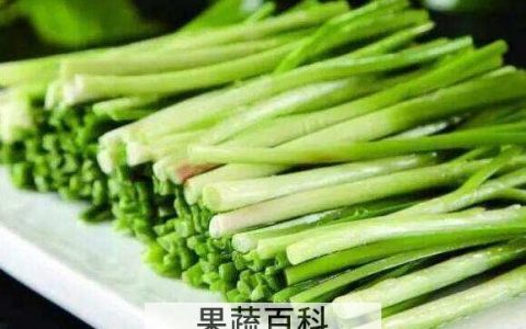 10大壮阳菜 原来这些食物最壮阳