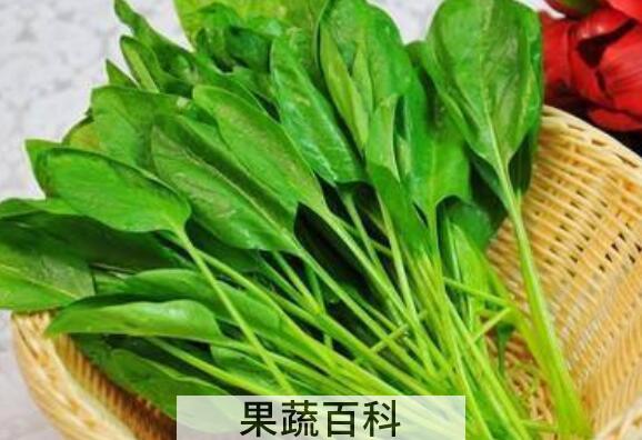 10大壮阳菜 原来这些食物最壮阳