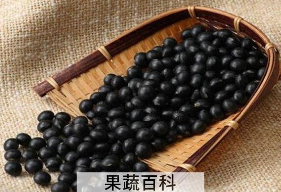 女人每天吃黑豆的好处与功效