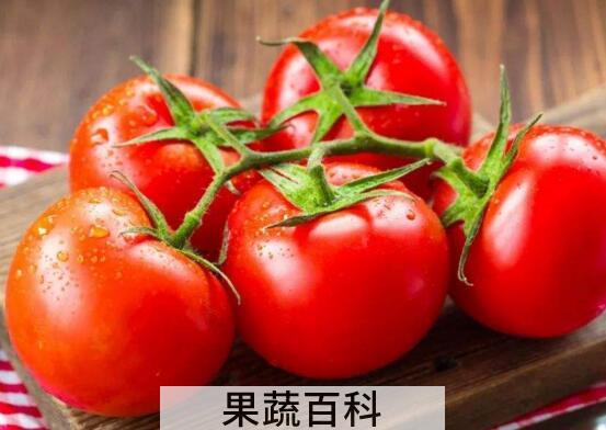 番茄红素对男人的功效与作用 男人吃番茄素有什么好处