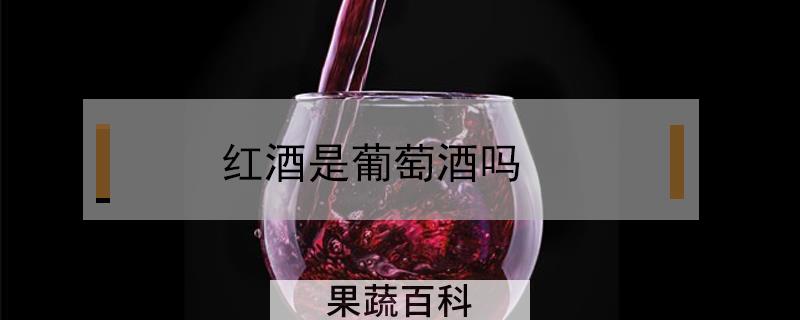 红酒是葡萄酒吗