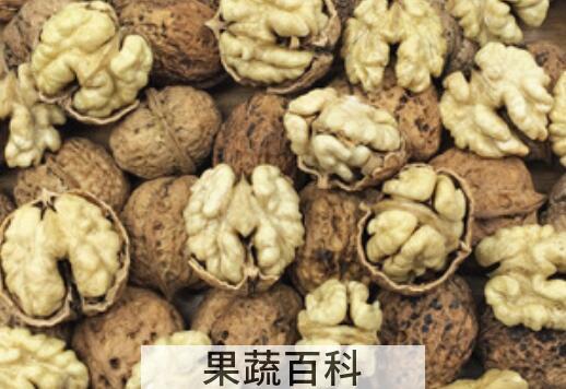云南纸皮核桃的功效与作用