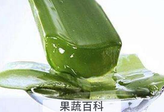 芦荟果汁的功效与作用 芦荟果汁的营养价值