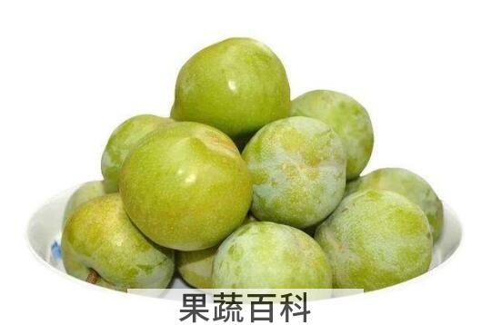 脆李的功效与作用及禁忌