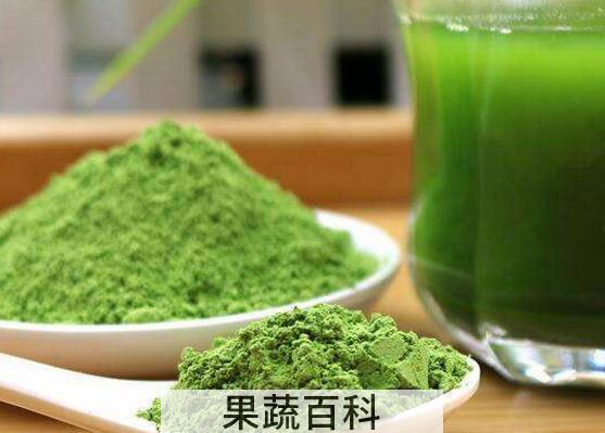 大麦若叶青汁的功效和作用及禁忌