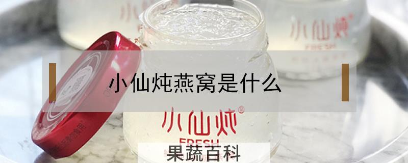 小仙炖燕窝是什么