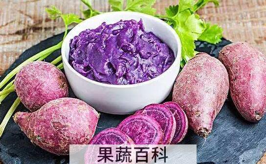 紫薯怎么吃 紫薯的食用方法