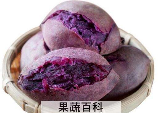 紫薯怎么吃 紫薯的食用方法