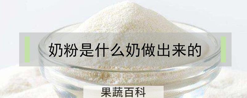 奶粉是什么奶做出来的