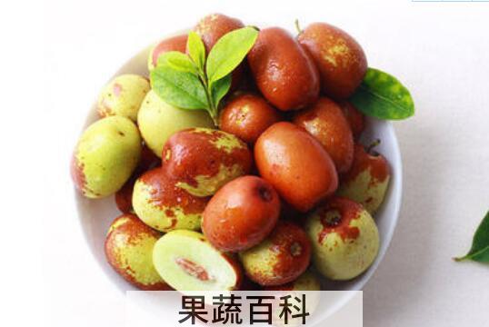 新鲜金丝蜜枣的功效与作用及食用方法