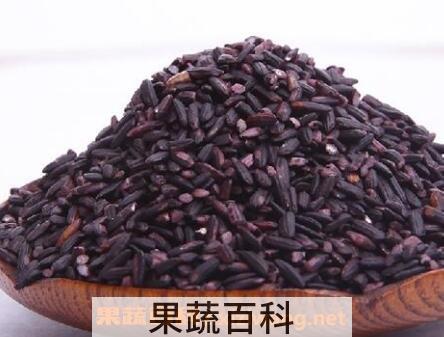 紫米与什么食物相克 紫米的功效