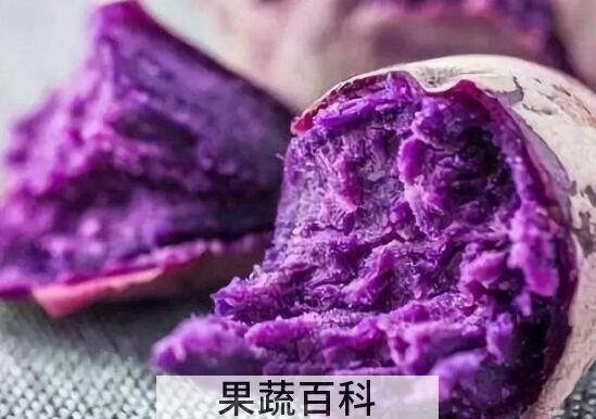 紫薯对女性有什么好处 女人吃紫薯的坏处