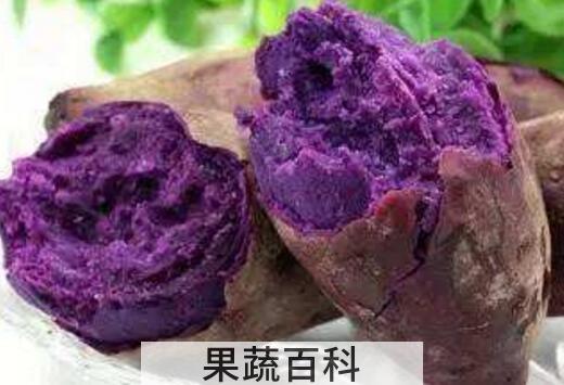 紫薯对女性有什么好处 女人吃紫薯的坏处