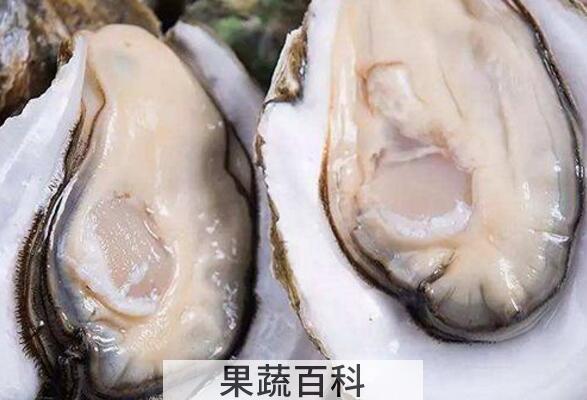 生蚝对男人的功效与作用