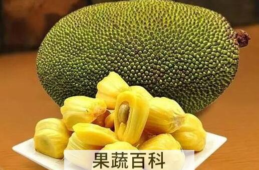 菠萝蜜最快的催熟办法