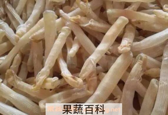 沙虫干的功效与作用
