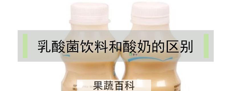 乳酸菌饮料和酸奶的区别