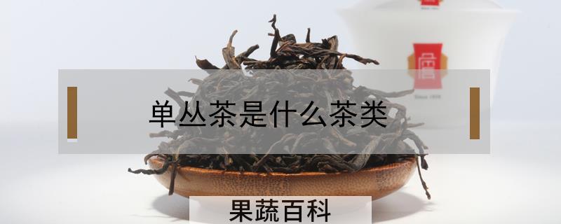单丛茶是什么茶类